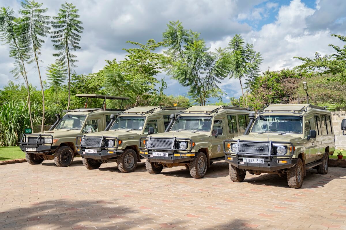 Local Safari Guides